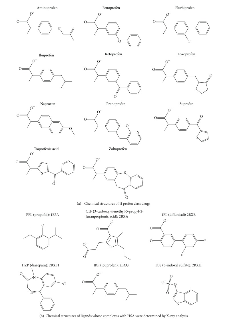 In Silico Prediction of Interactions between Site II on Human Serum Albumin and Profen Drugs.