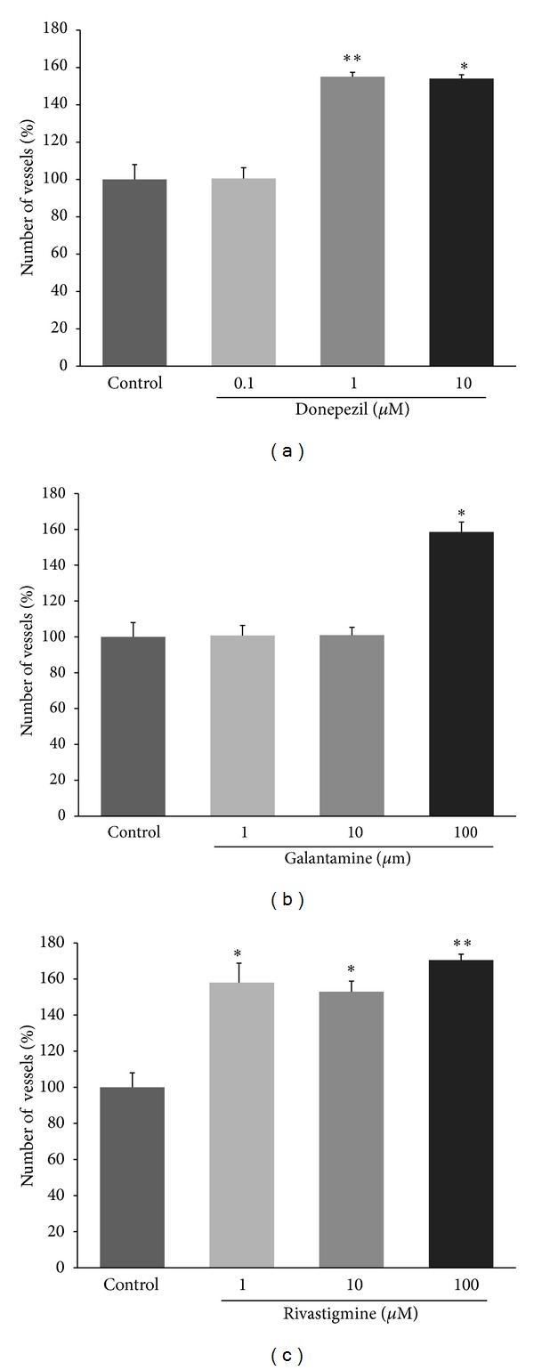 Acetylcholinesterase inhibitors promote angiogenesis in chick chorioallantoic membrane and inhibit apoptosis of endothelial cells.