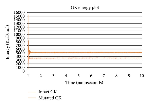 Structural Variations of Human Glucokinase Glu256Lys in MODY2 Condition Using Molecular Dynamics Study.