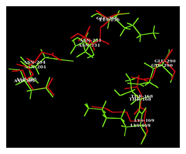 Structural Variations of Human Glucokinase Glu256Lys in MODY2 Condition Using Molecular Dynamics Study.