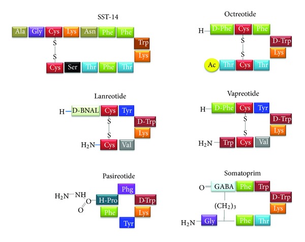 Peptide receptor targeting in cancer: the somatostatin paradigm.