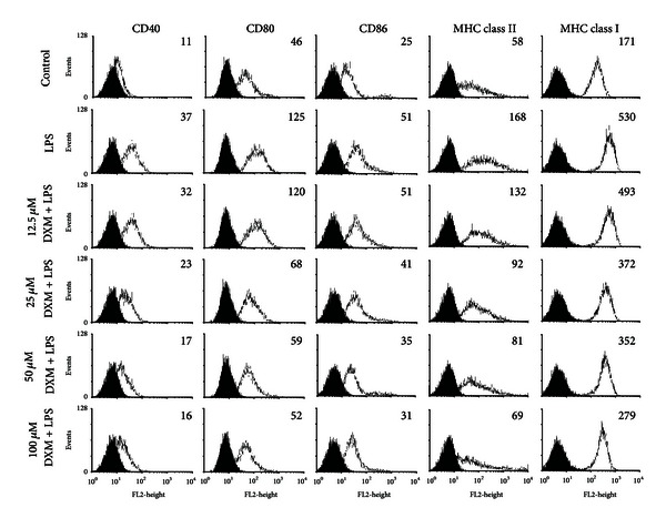 Dextromethorphan inhibits activations and functions in dendritic cells.