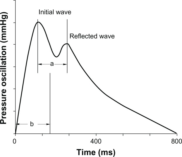 Pulse wave velocity 24-hour monitoring with one-site measurements by oscillometry.