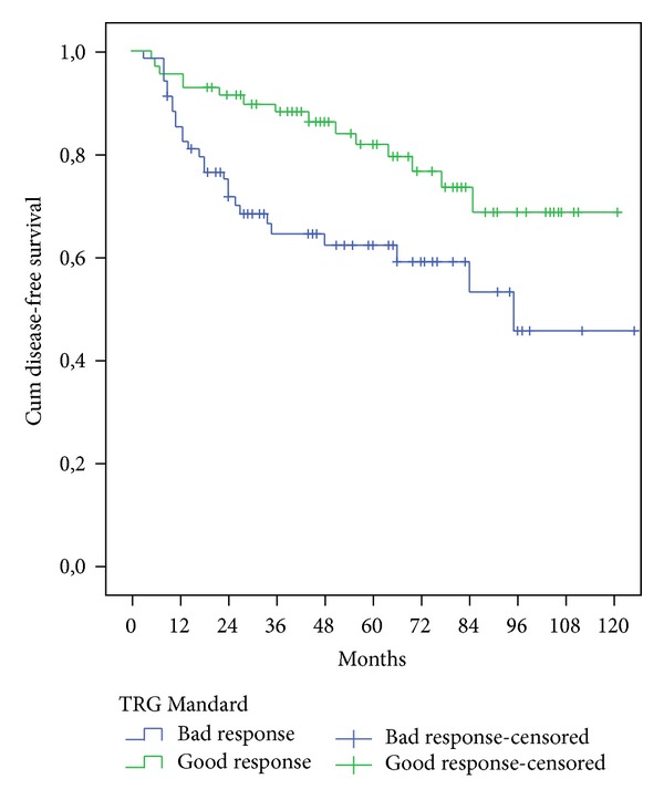 Tumor regression grades: can they influence rectal cancer therapy decision tree?