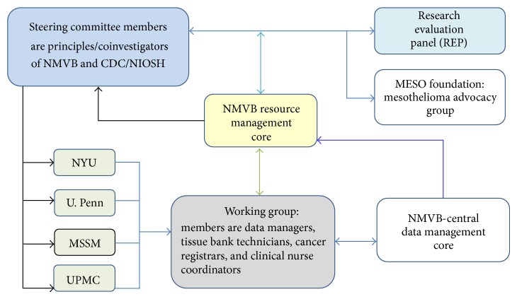 National Mesothelioma Virtual Bank: A Platform for Collaborative Research and Mesothelioma Biobanking Resource to Support Translational Research.