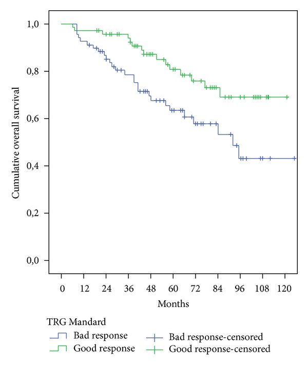 Tumor regression grades: can they influence rectal cancer therapy decision tree?