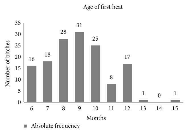 Reproductive Parameters of the Dogo Argentino Bitch.