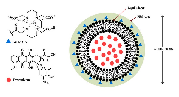 MRI-Guided Focused Ultrasound as a New Method of Drug Delivery.