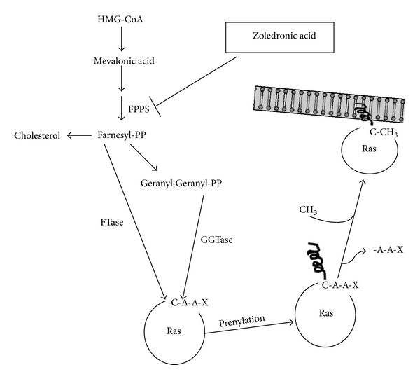 Bisphosphonates and cancer: what opportunities from nanotechnology?