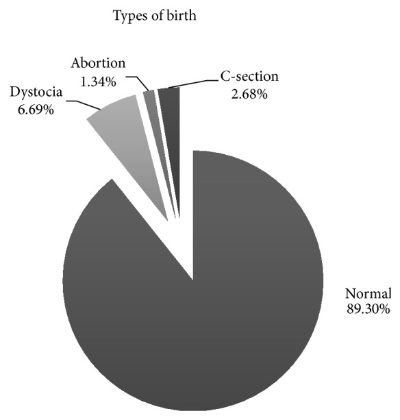 Reproductive Parameters of the Dogo Argentino Bitch.