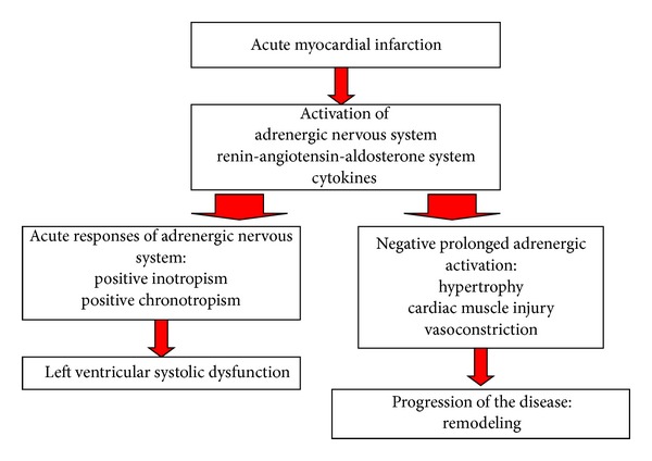 Diagnosis and treatment of asymptomatic left ventricular systolic dysfunction after myocardial infarction.
