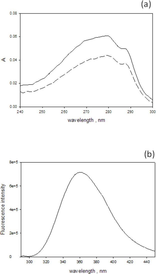 Measurement of Scattering and Absorption Cross Sections of Microspheres for Wavelengths between 240 nm and 800 nm.