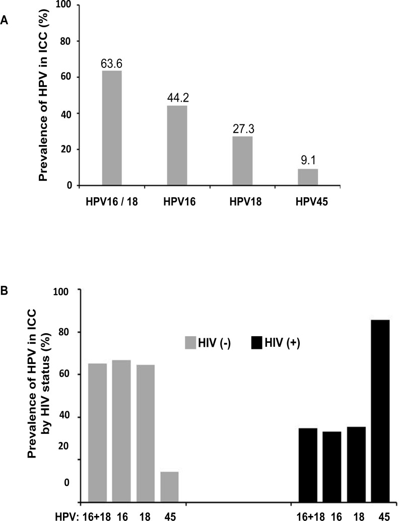 HIV Infection Alters the Spectrum of HPV Subtypes Found in Cervical Smears and Carcinomas from Kenyan Women.