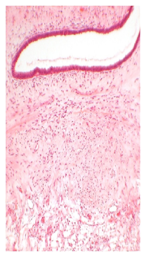 Abstract Image