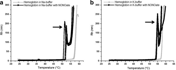 Effects of spermine NONOate and ATP on protein aggregation: light scattering evidences.