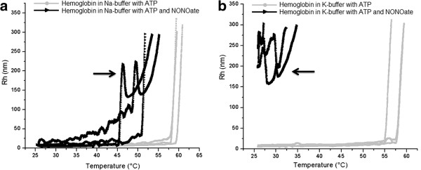 Effects of spermine NONOate and ATP on protein aggregation: light scattering evidences.