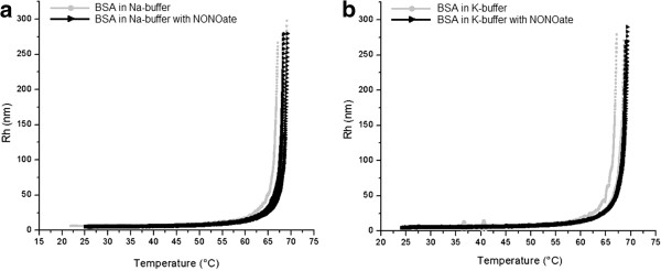 Effects of spermine NONOate and ATP on protein aggregation: light scattering evidences.