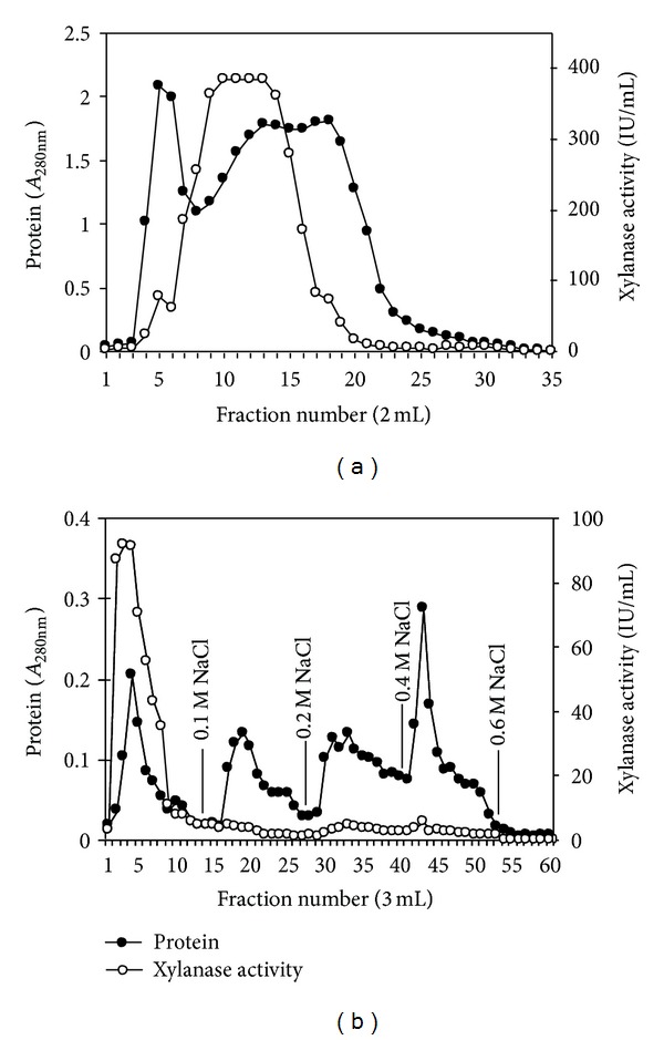 A Highly Thermostable Xylanase from Stenotrophomonas maltophilia: Purification and Partial Characterization.