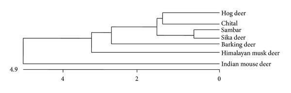 Sequence Characterization of Mitochondrial 12S rRNA Gene in Mouse Deer (Moschiola indica) for PCR-RFLP Based Species Identification.