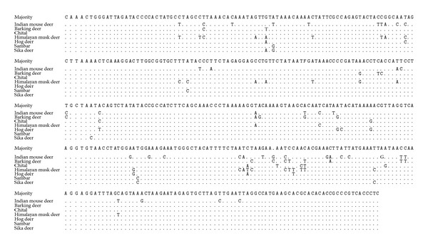 Sequence Characterization of Mitochondrial 12S rRNA Gene in Mouse Deer (Moschiola indica) for PCR-RFLP Based Species Identification.