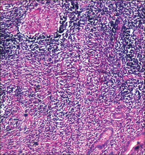 Abstract Image