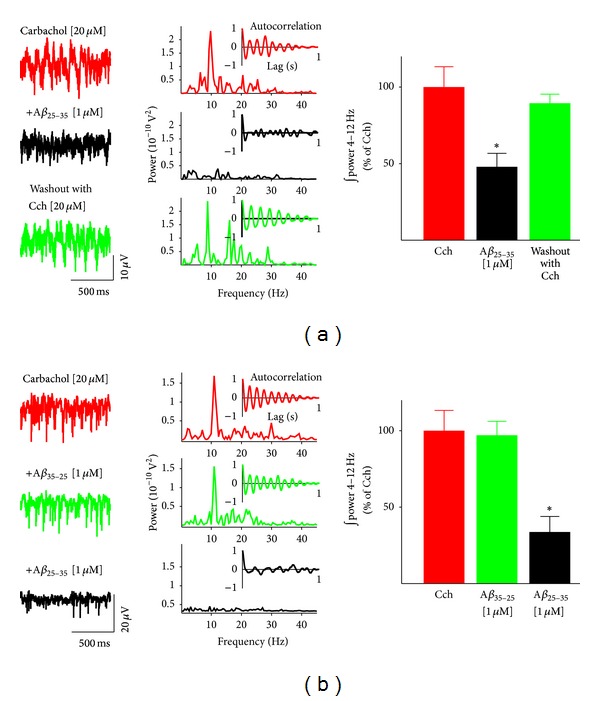 Amyloid Beta peptides differentially affect hippocampal theta rhythms in vitro.