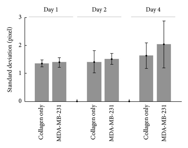 Cell matrix remodeling ability shown by image spatial correlation.