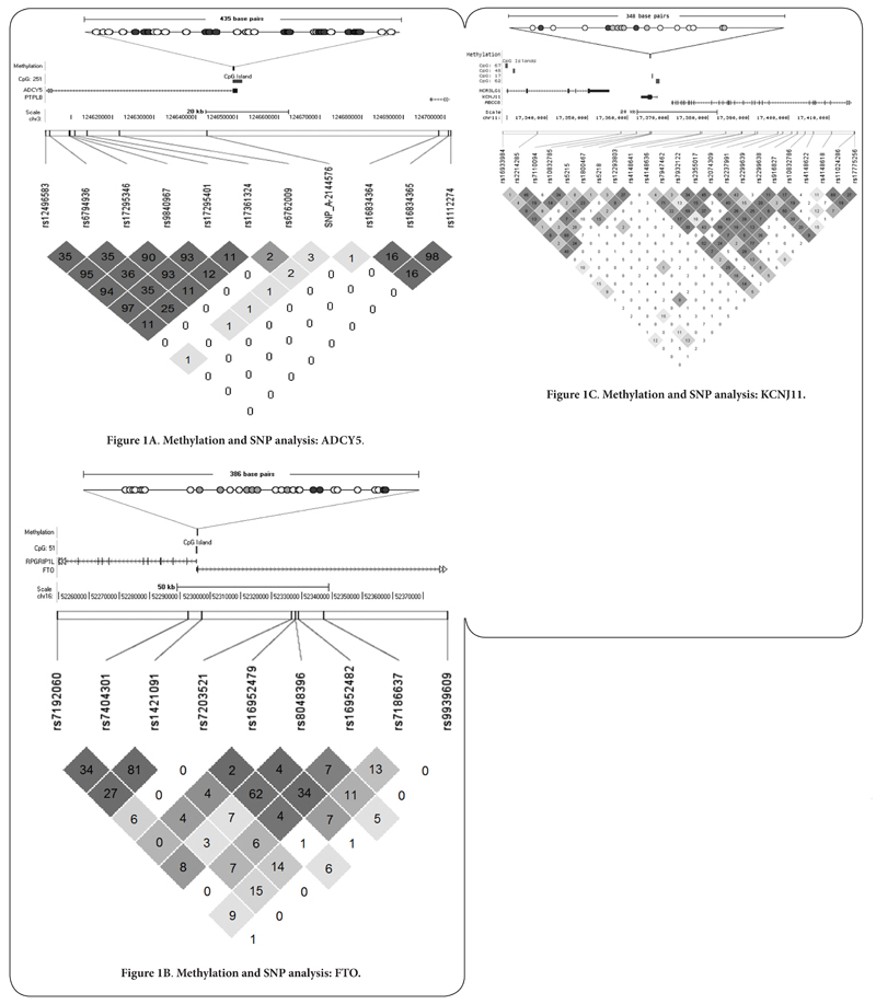 Migration and DNA methylation: a comparison of methylation patterns in type 2 diabetes susceptibility genes between indians and europeans.