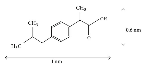 Infuence of microstructure in drug release behavior of silica nanocapsules.