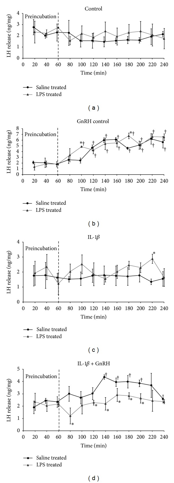 LPS-induced inflammation potentiates the IL-1β-mediated reduction of LH secretion from the anterior pituitary explants.