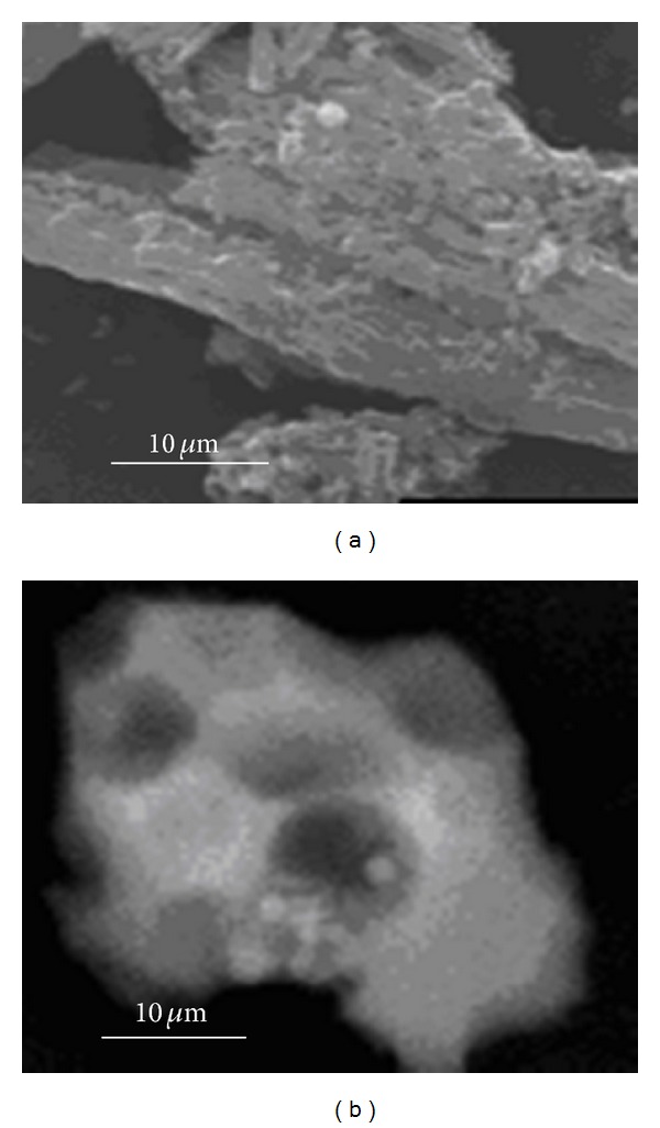 Infuence of microstructure in drug release behavior of silica nanocapsules.