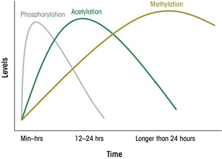 Epigenetic effects of ethanol on the liver and gastrointestinal system.