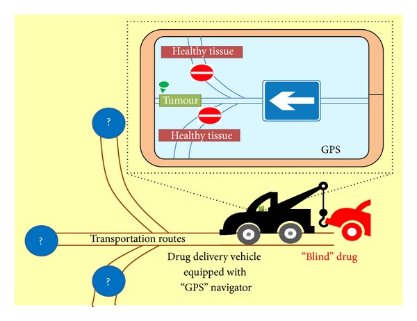 Novel oncology therapeutics: targeted drug delivery for cancer.