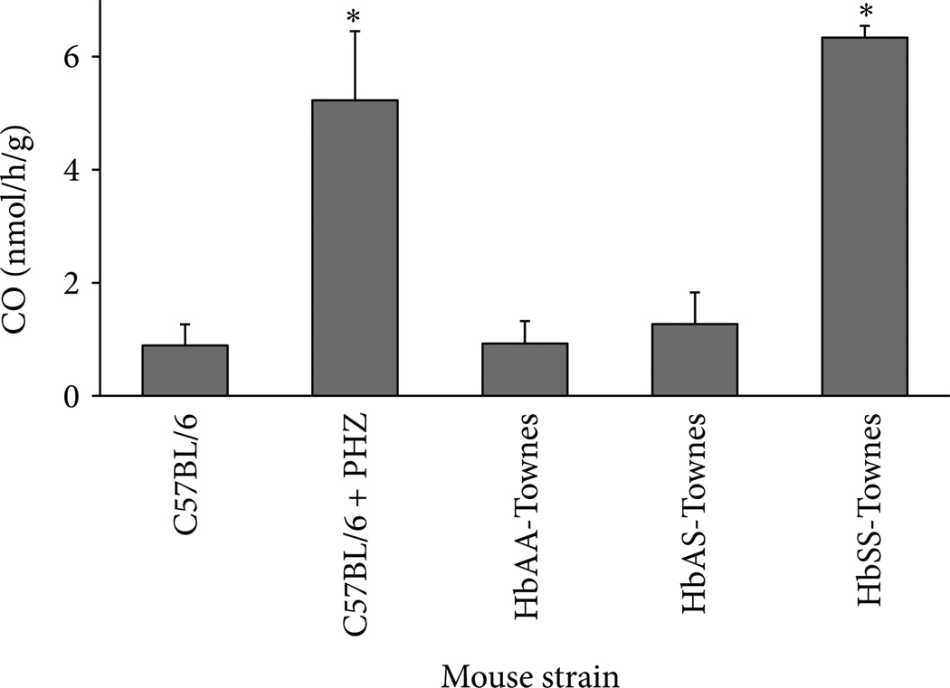 Vasculotoxic and Proinflammatory Effects of Plasma Heme: Cell Signaling and Cytoprotective Responses.