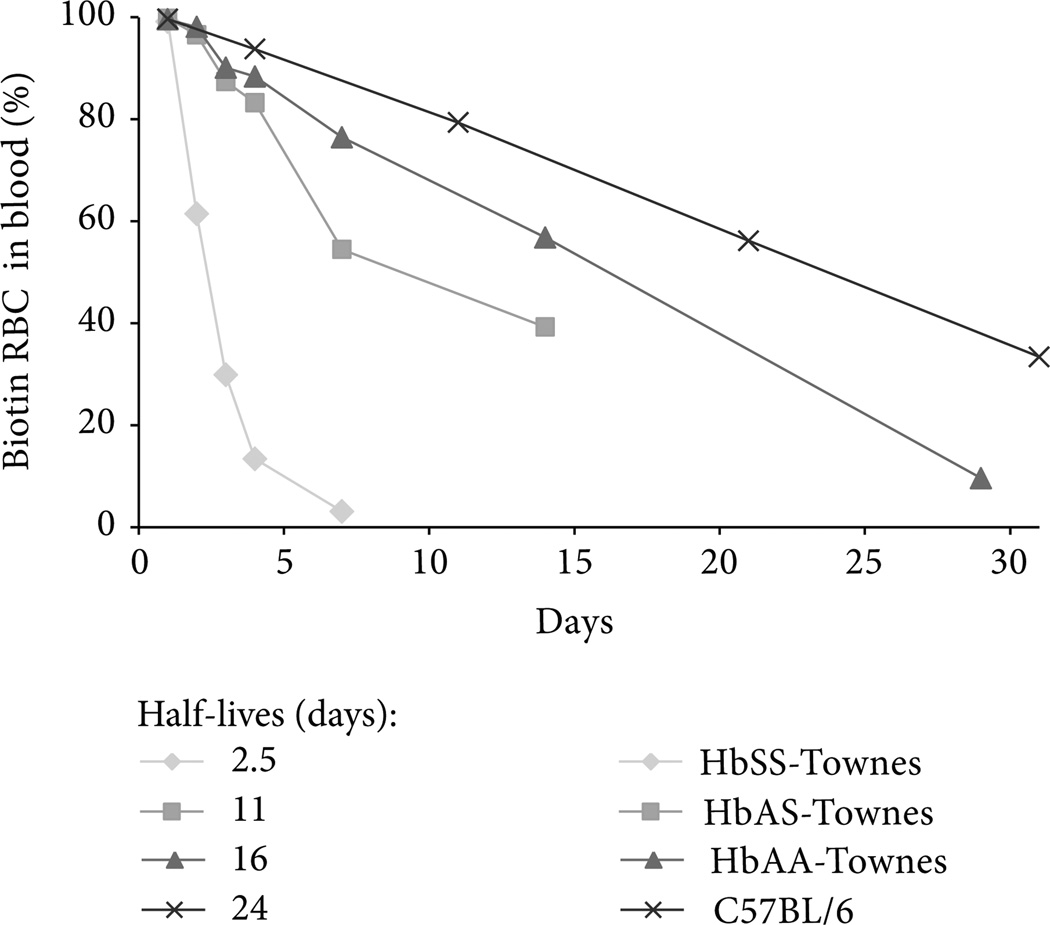 Vasculotoxic and Proinflammatory Effects of Plasma Heme: Cell Signaling and Cytoprotective Responses.