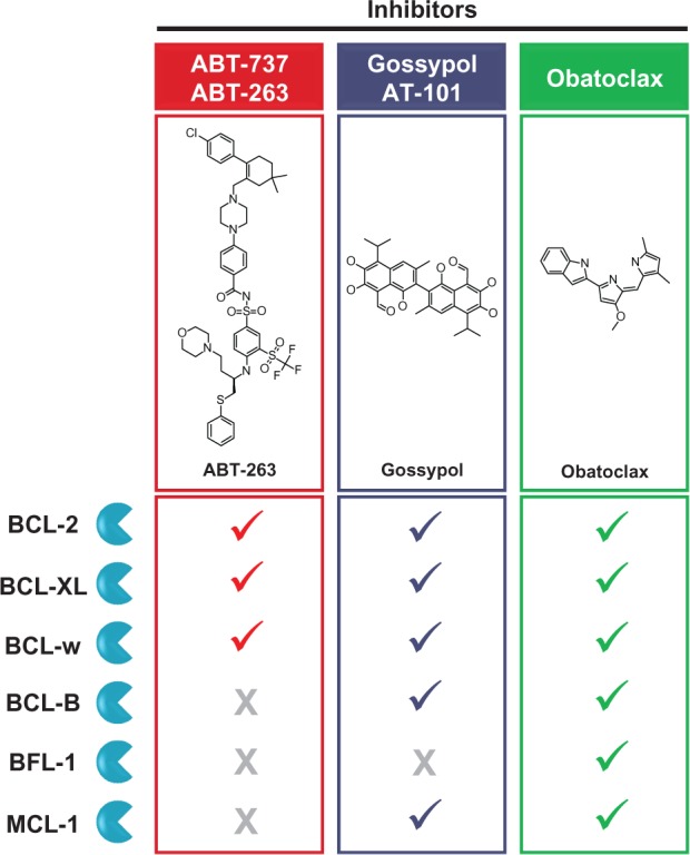 An evidence-based review of obatoclax mesylate in the treatment of hematological malignancies.