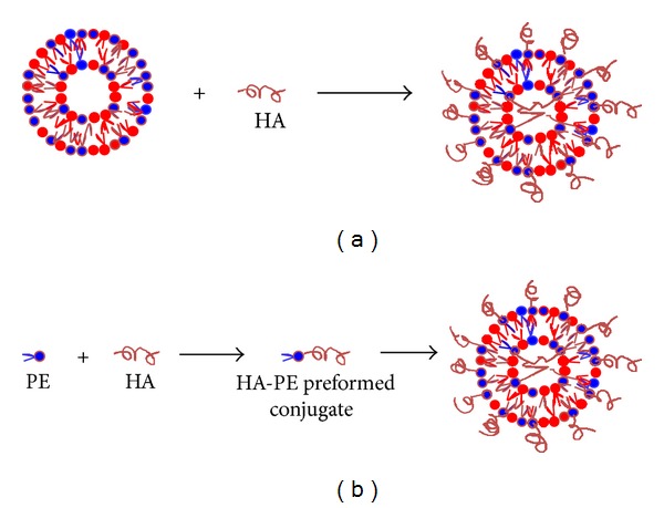 Lipid-Based Nanovectors for Targeting of CD44-Overexpressing Tumor Cells.