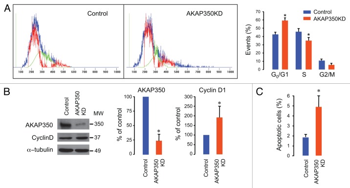 Centrosomal AKAP350 modulates the G<sub>1</sub>/S transition.