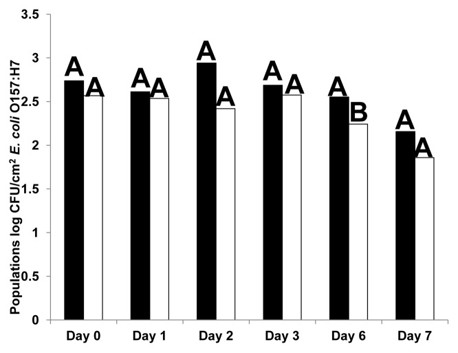 Lytic bacteriophages reduce Escherichia coli O157: H7 on fresh cut lettuce introduced through cross-contamination.