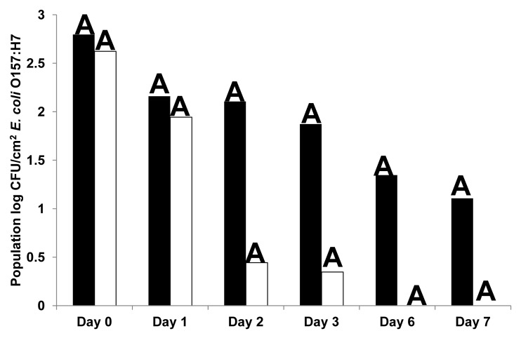 Lytic bacteriophages reduce Escherichia coli O157: H7 on fresh cut lettuce introduced through cross-contamination.