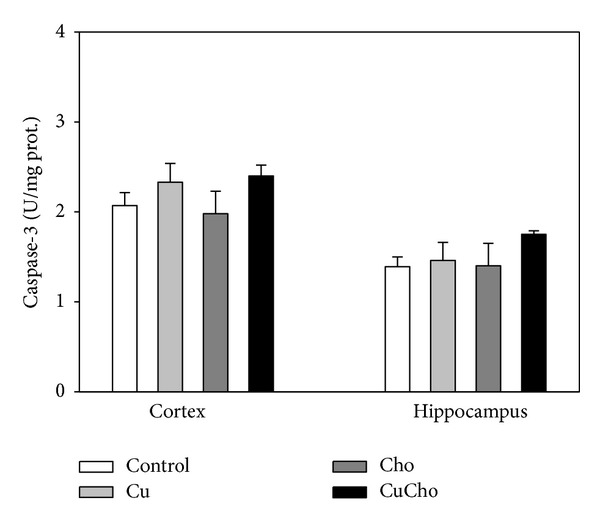 Role of copper and cholesterol association in the neurodegenerative process.