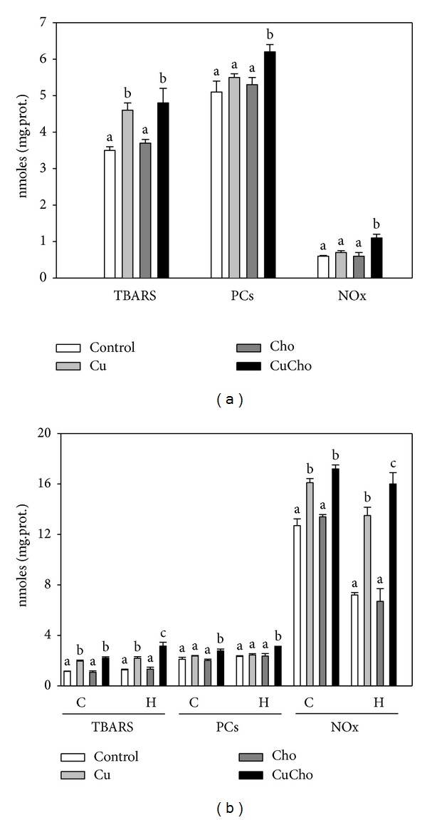 Role of copper and cholesterol association in the neurodegenerative process.