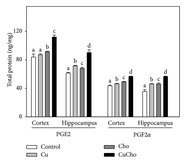 Role of copper and cholesterol association in the neurodegenerative process.