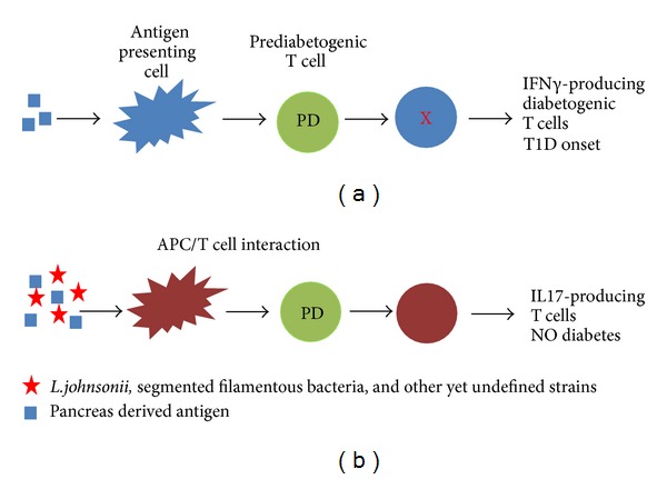 Th17 cells in immunity and autoimmunity.