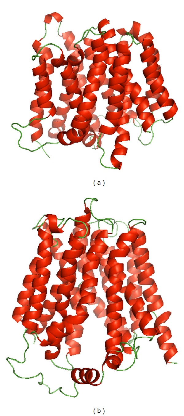 Tumor-specific expression of organic anion-transporting polypeptides: transporters as novel targets for cancer therapy.