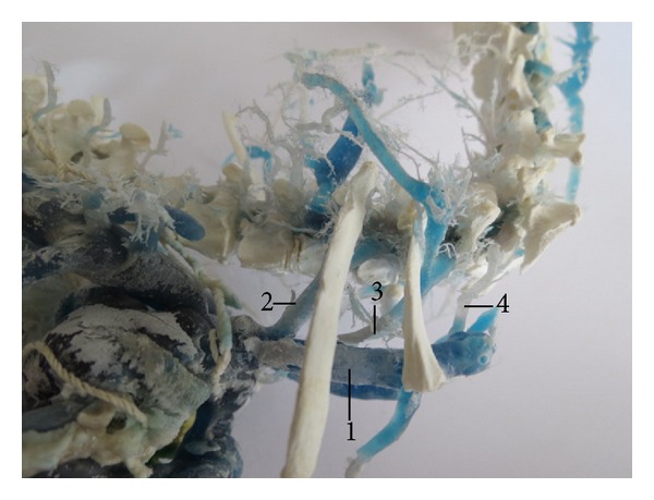 Abstract Image