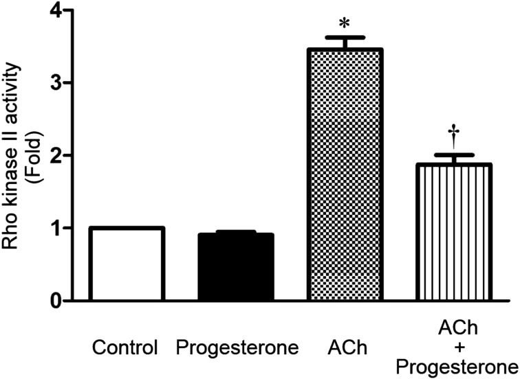 Non-genomic effects of progesterone on Rho kinase II in rat gastric smooth muscle cells.