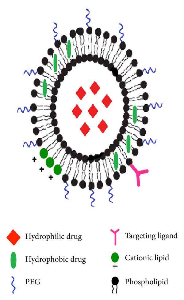 Recent developments in liposome-based veterinary therapeutics.