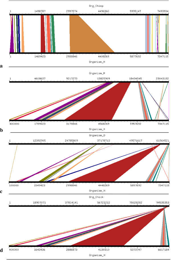 Exploring evolution of brain genes involved in microcephaly through phylogeny and synteny analysis.