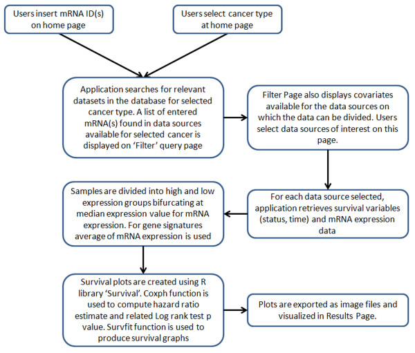 PROGgene: gene expression based survival analysis web application for multiple cancers.